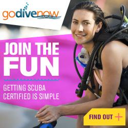 GoDiveNow_BannerAds_250X250_07XX2016