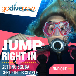 GoDiveNow_BannerAds_250X250_JumpIn_07XX2016